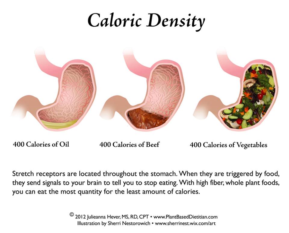 Caloric Density