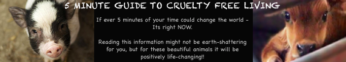 cruelty free living updated